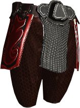 Ankitus Thigh Guards